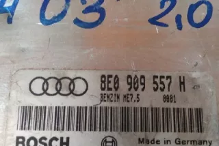 NMZ1297 Блок управления двигателем Audi A4 B6 Арт e12387674, вид 2