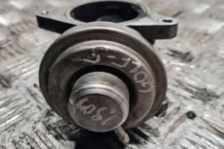 038131501S Клапан EGR Volkswagen Golf 5 Арт e12384624, вид 1