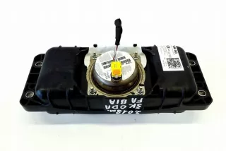 6V0880204 Подушка безопасности Skoda Fabia 3 Арт e12381475, вид 2