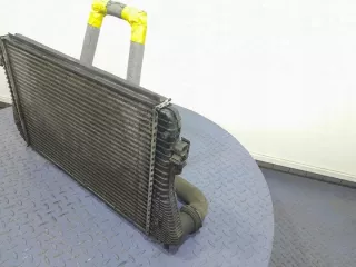 1K0121345M Интеркулер Seat Toledo 3 Арт e12361574, вид 3