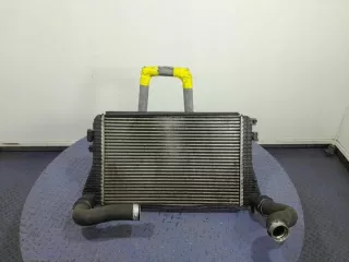 1K0121345M Интеркулер Seat Toledo 3 Арт e12361574, вид 4