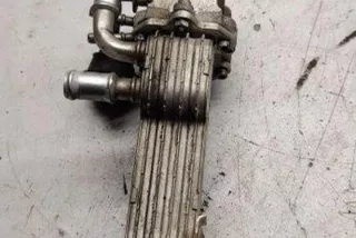03G131513J Радиатор EGR Volkswagen Passat B7 Арт e12358465, вид 1