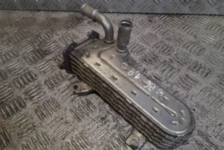 038131513AD Радиатор EGR Volkswagen Golf 4 Арт e12358380, вид 1
