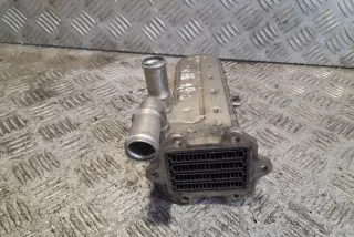 038131513AD Радиатор EGR Volkswagen Golf 4 Арт e12358380, вид 3