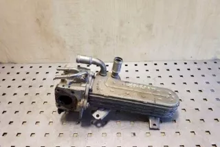 038131513AD Радиатор EGR Volkswagen Golf 4 Арт e12358372, вид 1
