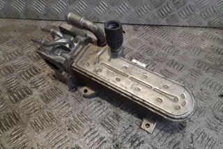 038131513AD Радиатор EGR Volkswagen Golf 5 Арт e12358332, вид 1