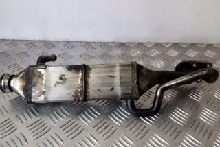 W251, 16421400175 Радиатор EGR Mercedes R W251 Арт e12357678, вид 1