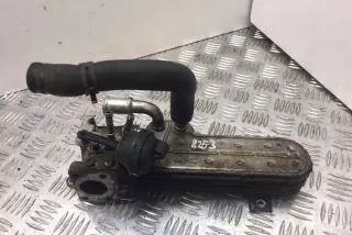 038131513AD Клапан EGR Volkswagen Passat B7 Арт e12328987, вид 1