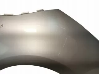 2006-2010 Крыло переднее правое Citroen C4 1 Арт e12322679, вид 3