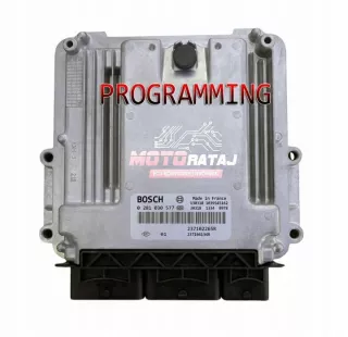 0281030577 Блок управления двигателем Renault Master 3 Арт e12320387, вид 1