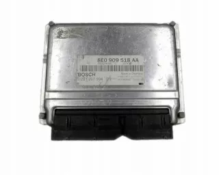 8E0909518AA Блок управления двигателем Audi A4 B6 Арт e12316331, вид 1