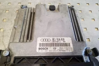 8E1910018 Блок управления двигателем Audi A4 B7 Арт e12316226, вид 3