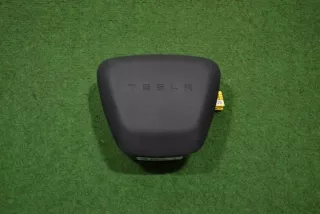 1625769-00-E Подушка безопасности Tesla model X Арт e12313629, вид 1