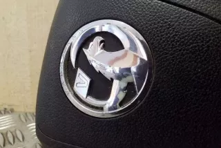 306413099P10AH Подушка безопасности Opel Astra L Арт e12313140, вид 1