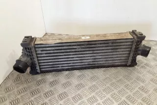 GK216K775AE Интеркулер Ford Transit Custom Арт e12304403, вид 1