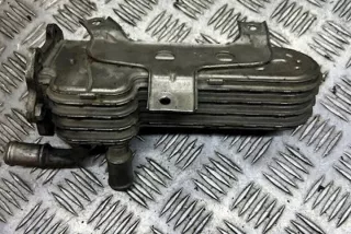 038131513 Радиатор EGR Volkswagen Passat B6 Арт e12303762, вид 2