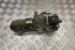038131513AD Радиатор EGR Volkswagen Golf 4 Арт e12303721, вид 5