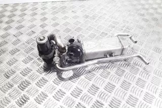 03L131512DP Радиатор EGR Skoda Roomster 1 Арт e12303689, вид 1