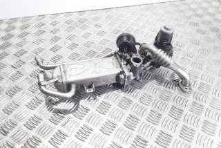 03L131512DP Радиатор EGR Skoda Roomster 1 Арт e12303689, вид 2