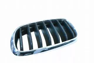 7316075 Решетка радиатора BMW X6 F16 Арт e12290039, вид 1