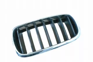 7316075 Решетка радиатора BMW X6 F16 Арт e12290039, вид 2