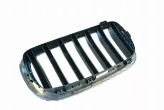 7316075 Решетка радиатора BMW X6 F16 Арт e12290039, вид 3