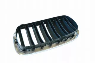 7316075 Решетка радиатора BMW X6 F16 Арт e12290039, вид 4