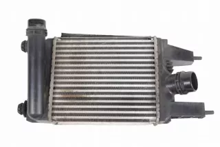 144613ZU0B Интеркулер Nissan Juke 1 Арт e12271002, вид 1