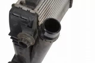 144613ZU0B Интеркулер Nissan Juke 1 Арт e12271002, вид 5