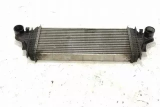 W164 2515000000 Интеркулер Mercedes ML W164 Арт e12270984, вид 3