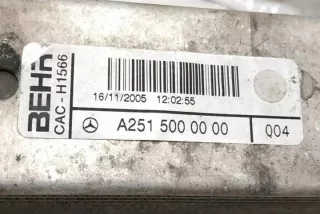 W164 2515000000 Интеркулер Mercedes ML W164 Арт e12270984, вид 4