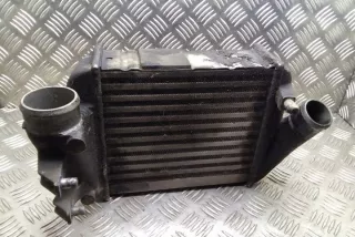 8E0145805M Интеркулер Audi A4 B6 Арт e12269793, вид 1