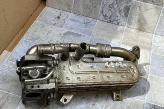 3210275 Радиатор EGR Seat Toledo 3 Арт e12268505, вид 3