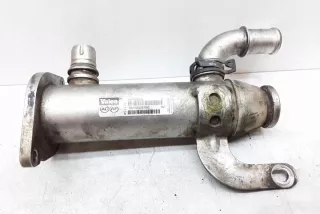 875816W Радиатор EGR Citroen C4 2 Арт e12266526, вид 1