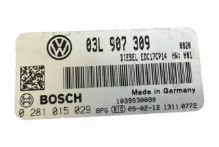 03L907309 Блок управления двигателем Volkswagen Golf 5 Арт e12245328, вид 4