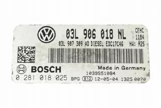 03L906018NL Блок управления двигателем Volkswagen Caddy 3 Арт e12245061, вид 1