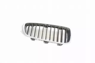 7294814 Решетка радиатора BMW X3 F25 Арт e12238515, вид 1