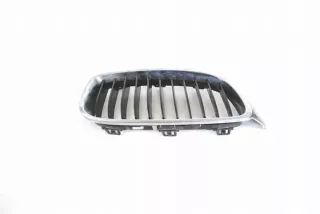 7294814 Решетка радиатора BMW X3 F25 Арт e12238515, вид 2