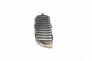 7294814 Решетка радиатора BMW X3 F25 Арт e12238515, вид 3
