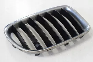 2993308 Решетка радиатора BMW X1 E84 Арт e12238497, вид 1
