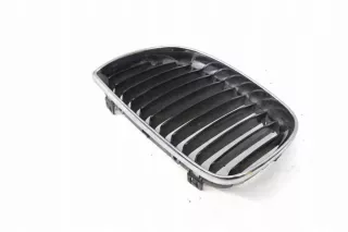7077129 Решетка радиатора BMW 1 E81/E82/E87/E88 Арт e12238036, вид 2