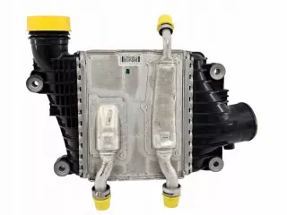 GX73-6K775-AE GX736K775-AE GX736K775AE Интеркулер Jaguar F-Pace Арт e12212737, вид 1