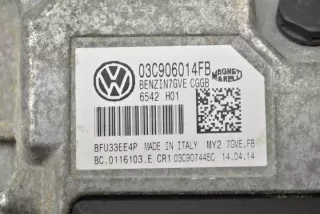 03C906014FB Блок управления двигателем Seat Ibiza 4 Арт e12173118, вид 2