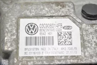 03C906014FB Блок управления двигателем Seat Ibiza 4 Арт e12173116, вид 1