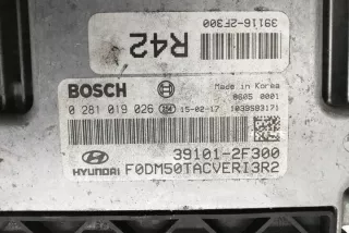 391012F300 Блок управления двигателем Hyundai Santa FE 3 (DM) Арт e12170475, вид 2