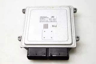 391002EGS5 Блок управления двигателем Hyundai i30 FD Арт e12170378, вид 1