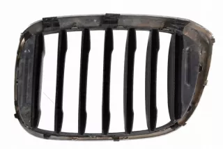 7469436 Решетка радиатора BMW X3 G01 Арт e12166490, вид 2