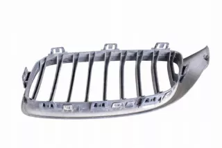 7294818 Решетка радиатора BMW 4 F32/F33/GT F36 Арт e12166247, вид 2