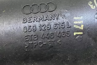 059129615L Гофра инжектора Audi A6 C7 (S6,RS6) Арт e12160344, вид 4
