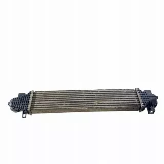 LX616K775A Интеркулер Ford Escape 4 Арт e12125833